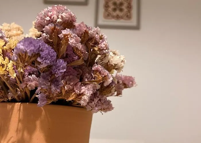 Samsarahouse Salento 펠리네